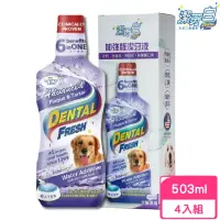 在飛比找momo購物網優惠-【美國潔牙白Dental Fresh】加強版潔牙液 503m