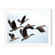 Flying Home Framed Wall Art - White