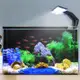 觸摸式 水族箱USB夾燈 魚缸夾燈 LED夾燈 水族燈具 水族照明 水草燈【現貨天天出】