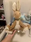 Jellycat horticus hare BNWT
