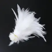 Natural Rooster Feathers 10-15cm Pheasant Feather Crafts Plume Decoration 100Pcs