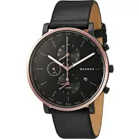 在飛比找Yahoo!奇摩拍賣優惠-現貨 可自取 SKAGEN SKW6300 手錶 42mm 