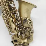 Professional Alto Saxophone E-flat Matte Finish Saxophone Instrument