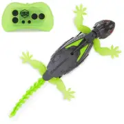 HEX BOTS Wall Crawler Gecko RC Robot, Climbs Walls, Ages 4 & Up