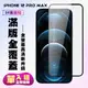 IPhone 12 PRO MAX 保護貼 滿版黑框高清手機保護貼