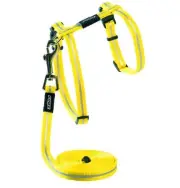 Rogz Alleycat Harness & Lead Set Dayglo Yellow Sml