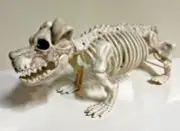 Unique Dog lover Skeleton Halloween Poseable Head Jaw Tail 7x18" Day of the Dead