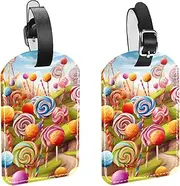 [WOSHJIUK] 2-Pc,Luggage Tag,Bag Tags for Luggage,Travel Suitcase Tags,Colorful Candy