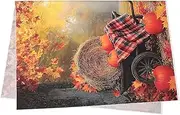 LALAFINA Fall Leaves Pumpkins Photography Backdrop Cloth Harvest Festival Decorations for Farm Portable Easy to Clean for Thanksgiving Party Nature Photo Shoots
