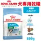 ✨橘貓MISO✨Royal Canin法國皇家 犬專用乾糧800g MNP小型幼犬 犬糧