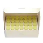 ALBION FLARUNE Bright Charger 1ml x 28 Serum Melanin Age Spots Brightening
