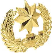 [WESIEVYA] Unique Style Hat Badge Pin Metal Badge for Security Uniform Lapel Pin Octagonal Star Design