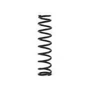 2000-2002 Polaris 325 Magnum 2x4/4x4 ATV EPI Heavy Duty Spring [Front]