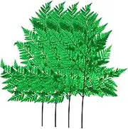 Preserved Fern Leaf Bouquet 10 Pieces/Bundle Decor for Home Office Photography Props Wedding Decor