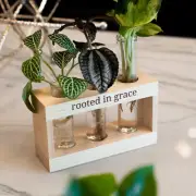 Plant Propagation Stations Rooted in Grace Cutting Holder W/Propagation Vases