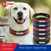 Personalised Large Genuine Leather Dog Collar Custom Engraved Dog Collar