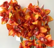REAL TOUCH ORCHID ARTIFICIAL FLOWER CYMBIDIUM ORCHIDS STEM ORANGE FAKE FLOWERS