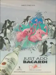 BACARDI PRINT AD 1992 PRINT AD 11 X 8.5