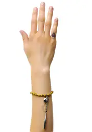 [Vanessa Mooney] The Silent Search Bracelet