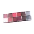 Face Body Paint DIY Make up Palette Washable 12 Grids Face Paint Pigment for