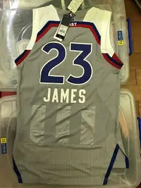 在飛比找Yahoo!奇摩拍賣優惠-Lebron James LBJ Adidas NBA球衣 