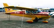 A-109 Airedale Beagle Civil A109 Airplane Desktop Kiln Wood Model Free Shipping