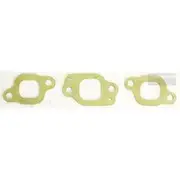 Platinum Extractor Gasket - HSM61