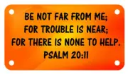 PSALM 20:11 Verse 4" X 7" ATV Motorcycle License Plate Christian Emblem