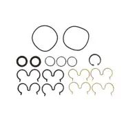 Pump Seal Kit Fits Parker PGP620 Fits JCB 3C 3CX 3D 3DX 4C 4CN 4CX 217 20/902901