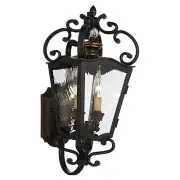 Minka Lavery Great Outdoors Brixton Ivy 2 Light Outdoor Lantern
