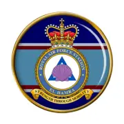 RAF Station El Hamra Pin Badge
