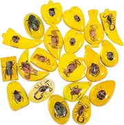 CANIGHT Amber Insect Specimens in Resin 10pcs for Boys and Kit DIY Jewelry Making