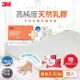 3M 天然乳膠防蹣床墊(雙人)(附贈 防蹣床套)+防蹣枕心2入