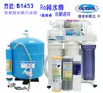 全自動RO純水機濾水器.製冰機咖啡機過濾器.餐飲業.養殖水族工作室.水晶蝦.淨水器NO:1453【七星淨水】