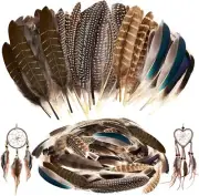 Hat Feathers Men, 50 Pcs Pheasant for Hats, Small Multicolor: 50Pcs