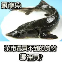 在飛比找Yahoo!奇摩拍賣優惠-【冷凍魚類】活凍鱘龍魚~教您做鱘龍魚料理~自古以來視為滋補養