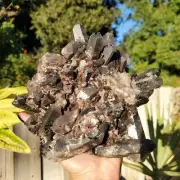 4lbs+ Black Morion Black Smoky Quartz Crystal Tower Point Cluster | 1820 grams