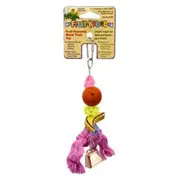 [Penn Plax] Penn-Plax Fruit Kabob Bird Toy - Small