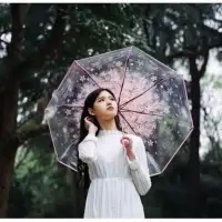 在飛比找蝦皮購物優惠-透明雨傘圖案花朵櫻花日本