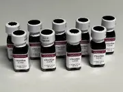 Chocolate - LorAnn Dram Flavoring SS Oil Extracts Baking 0.125 oz - Lot Of 9