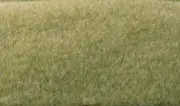 Woodland Scenics 615 All Scale Static Grass - Field System -- Light Green