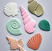 Set Sea Shell Die Cuts Embossed Seashell Cut Conch Scallop Snail Clam Seashells