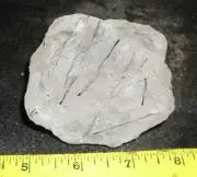 ツ Aquarium rock … Incredible gemmy TOURMALINE IN QUARTZ … 8 oz