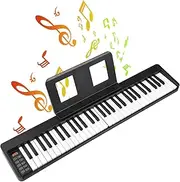 Daseeme 61-Key Foldable Electronic Piano Multifunctional Electronic Organ 61 Keys Sensitive Piano Keyd with LCD Display Built-in Battery BT Connectivity Portable Musical Instrument Di