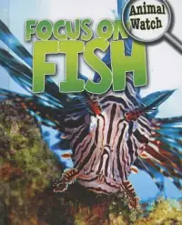 在飛比找博客來優惠-Focus on Fish