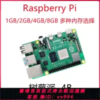 在飛比找樂天市場購物網優惠-{公司貨 最低價}樹莓派Raspberry pi 4b 4G