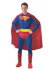 Superman Muscle Chest Adult Costume - Small