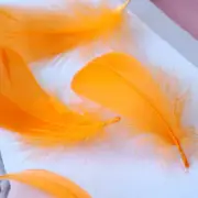 100 Pieces Orange Natural Goose Craft Feathers Bulk, Colorful Small Goose Feathe