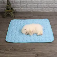 在飛比找蝦皮購物優惠-Summer pet ice pad dog pad ice