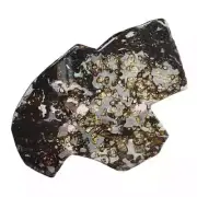 106.4g SERICHO pallasite Meteorite slice - from Kenya QA466